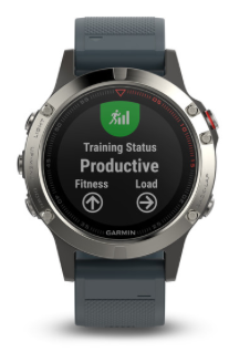Fenix 5S