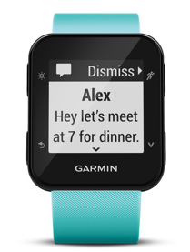 Fenix 5 plus